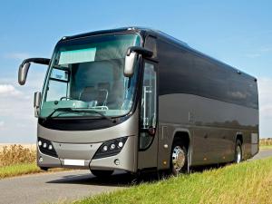Plaxton Panther Cub Volvo B9R 2013 года